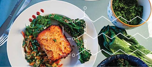 Demystifying Fat 1.jpg