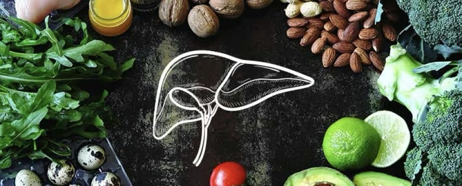 Fatty Liver Disease 1.jpg