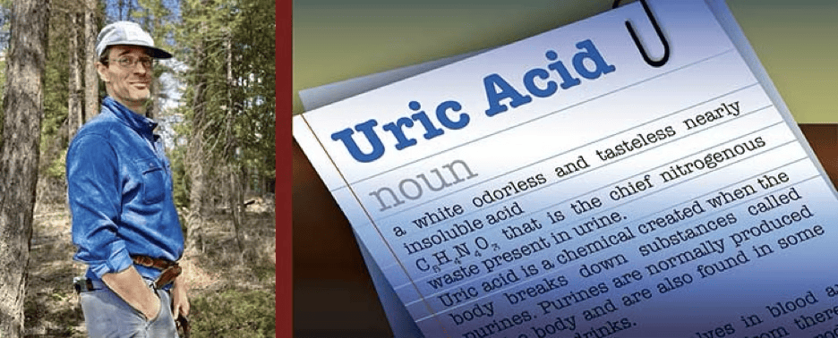 Uric Acid 1.png
