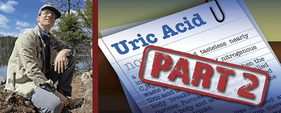 Uric Acid 4.png